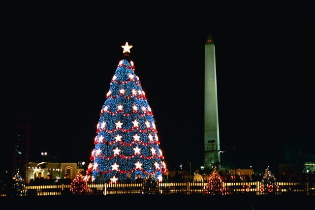 National christmas Tree, Washington DC, 2001