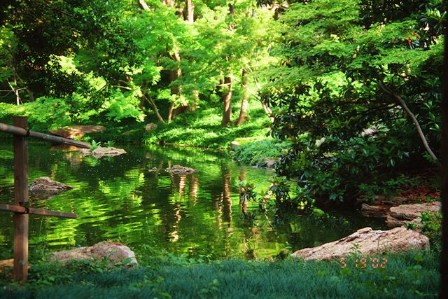 mystical pond