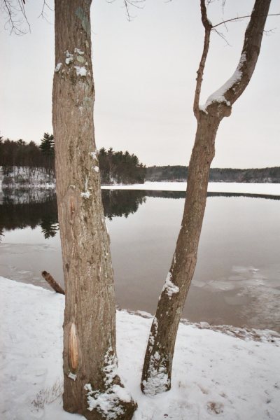 ../Images/Walden-Pond-Winter-Begins_019_16A.JPG
