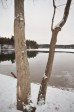 Thumbs/tn_Walden-Pond-Winter-Begins_019_16A.jpg